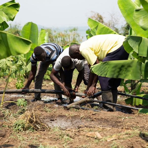 Invisible Labour, Visible Impact: Rethinking Migration Policy and Precarity in South Africa