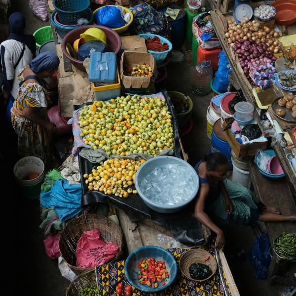 Navigating Livelihood and Belonging: The Everyday Realities of African Migrant Women in Cape Town